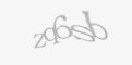 Codul de securitate