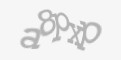 Codul de securitate