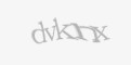 Codul de securitate