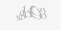 Codul de securitate