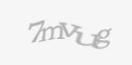 Codul de securitate