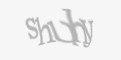 Codul de securitate
