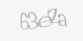 Codul de securitate