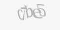 Codul de securitate