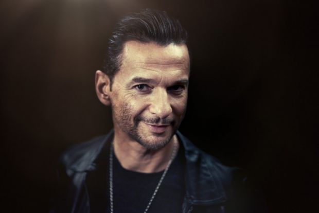 david